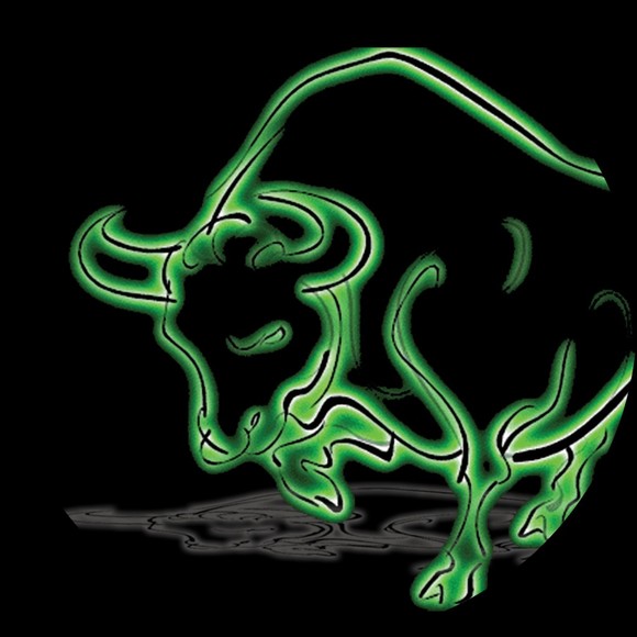 usfbull242
